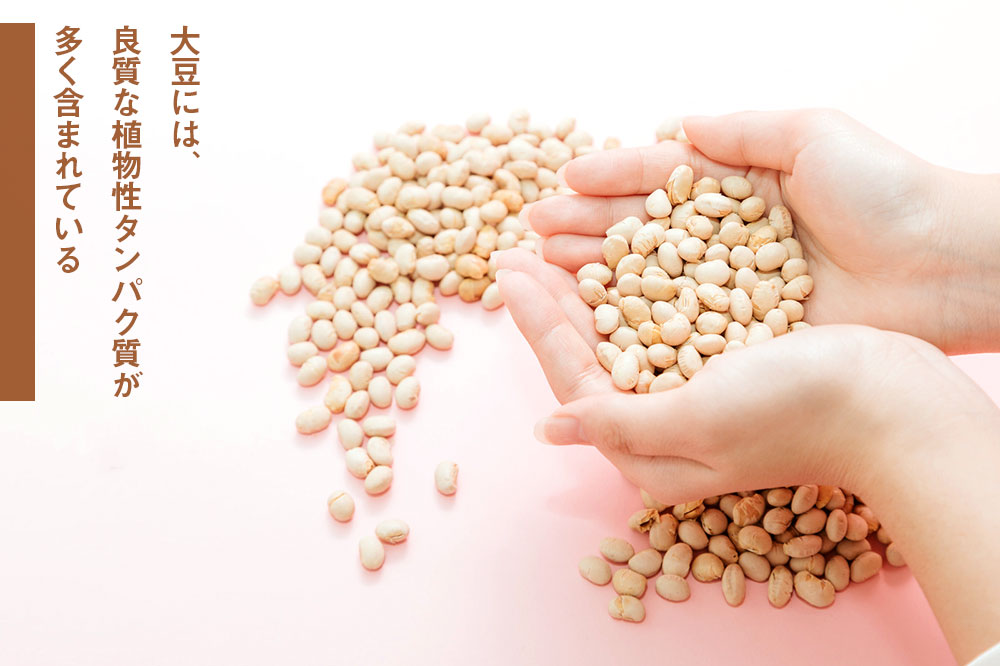 大豆には、良質な植物性タンパク質が多く含まれている