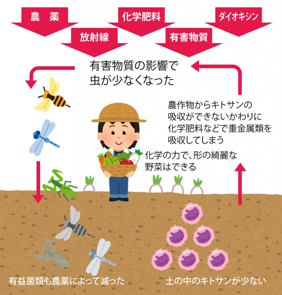 農薬によって、土壌微生物のサイクルは失われた