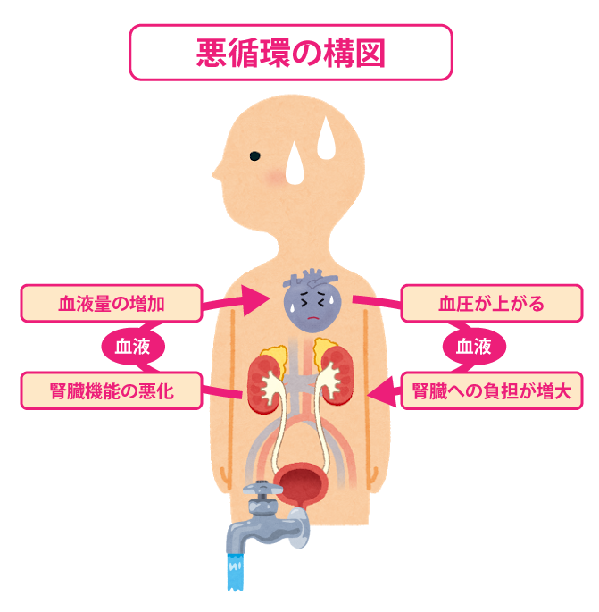 腎臓機能の低下による悪循環の構図